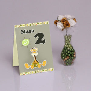 Nr de Masa Botez Girafa
