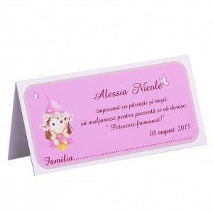 Plic Botez Fairy