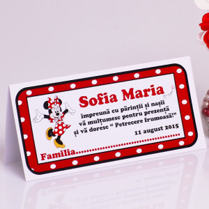 Plic Botez Minnie Mouse 2