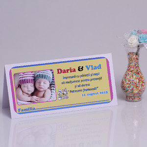 Plic cu Foto Botez Gemeni Disney