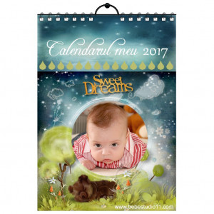 Calendar de perete MOD 20