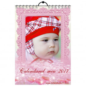 Calendar de perete Silver MOD 45