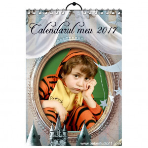Calendar de perete Silver MOD 50