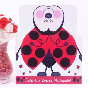 Invitatie Botez Bebelus 5