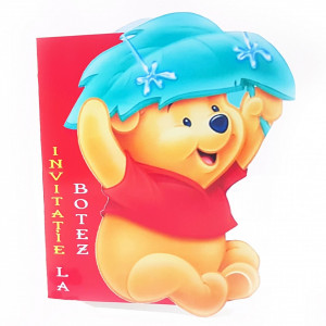 Invitatii Botez Contur Winnie 3