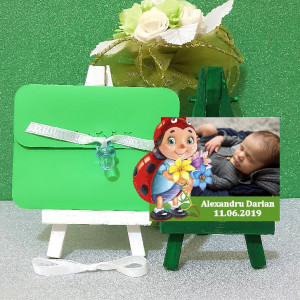 Magnet Contur Buburuz 1