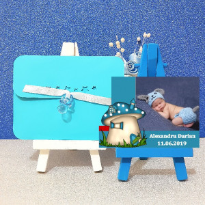 Magnet Contur Ciupercuta 3