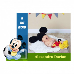 Magnet Contur Mickey Mouse 11