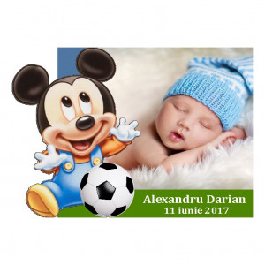 Magnet Contur Mickey Mouse 16