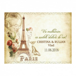 Marturie Nunta Magnet Paris in Love