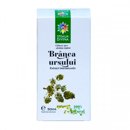 STEAUA DIVINA BRANCA URSULUI TINCTURA TINCTURA 50ML