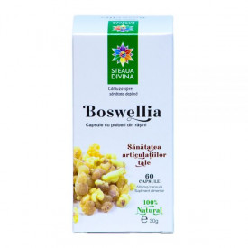 STEAUA DIVINA BOSWELLIA 60CPS