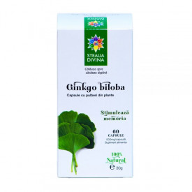 STEAUA DIVINA GINKGO BILOBA 60CPS