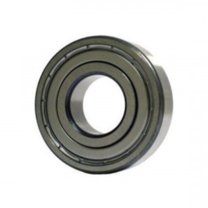 Rulment 6000