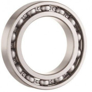 Rulment 6019