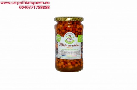 Honey with seabuckthorn BEANS 440 gr