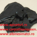 Propolis Resin