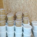 Raw Natural pure Tilia (linden) Honey in pails of 10 litters (13.5 kg)