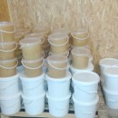 Pure Tilia Honey in Pails of 5 litters (7 kg)