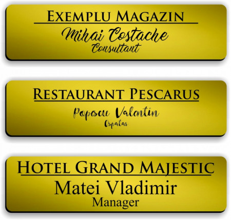 Ecuson personalizat gravat cu nume si/sau logo 8x2cm, auriu
