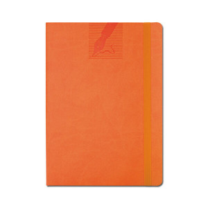 Agendă 439 Vinci Flex Arancio, nedatată ,15 x 21 cm