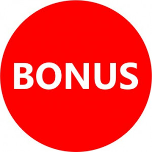 Etichete personalizate cu BONUS, 100 buc, PVC, rezistente la apa