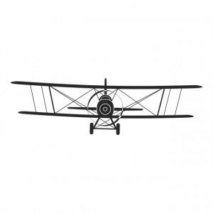 Flying Biplane Airplane Aircraft