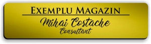 Ecuson personalizat gravat cu nume si/sau logo 8x2cm, auriu