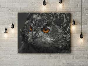 Tablou Canvas Black Owl