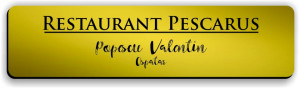 Ecuson personalizat gravat cu nume si/sau logo 8x2cm, auriu