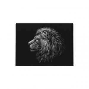 Tablou Canvas Grey lion