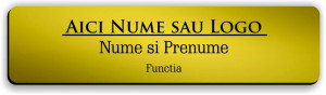 Ecuson personalizat gravat cu nume si/sau logo 8x2cm, auriu