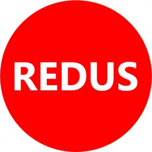 Etichete personalizate cu REDUS, 100 buc, PVC, rezistente la apa