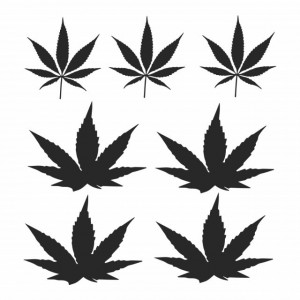 Sticker Weed Cannabis