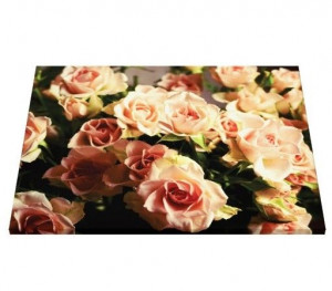 Tablou canvas - Trandafiri roz 01
