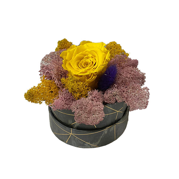 Aranjament Floral, cutie cu trandafir criogenat pe pat de licheni naturali stabilizati (Culoare: Albastru)