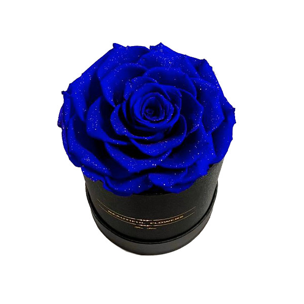Trandafir Criogenat XXL in cutie neagra de satin (Culoare: Auriu)