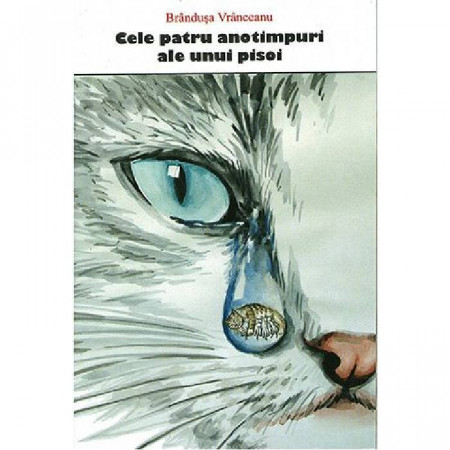 Cele patru anotimpuri ale unui pisoi