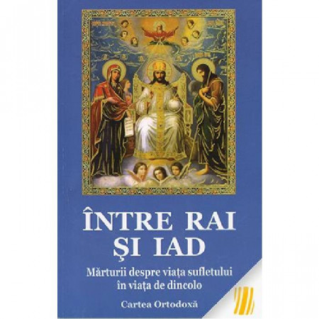 Intre rai si iad. Marturii despre viata sufletului in viata de dincolo