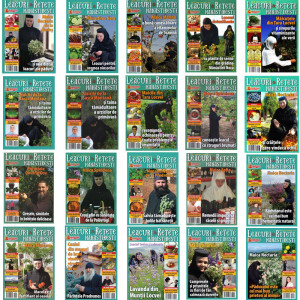 Revista Leacuri manastiresti - 20 de numere