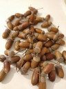 Ghinda natur 300 g