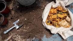 Compostarea