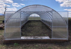Sera policarbonat Energon FORTE 4x10 m, otel galvanizat 40x20 mm si policarbonat 4 mm