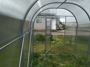 Sera policarbonat Energon Mini 2.1x6 m, otel galvanizat 40x20 mm si policarbonat 4mm