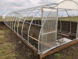 Sera policarbonat Energon FORTE 4x10 m, otel galvanizat 40x20 mm si policarbonat 4 mm