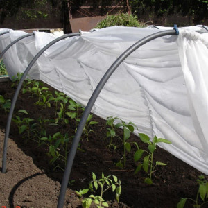 Solar cu agril netesut 8 m