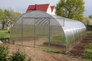 Sera policarbonat Energon FORTE 4x10 m, otel galvanizat 40x20 mm si policarbonat 4 mm