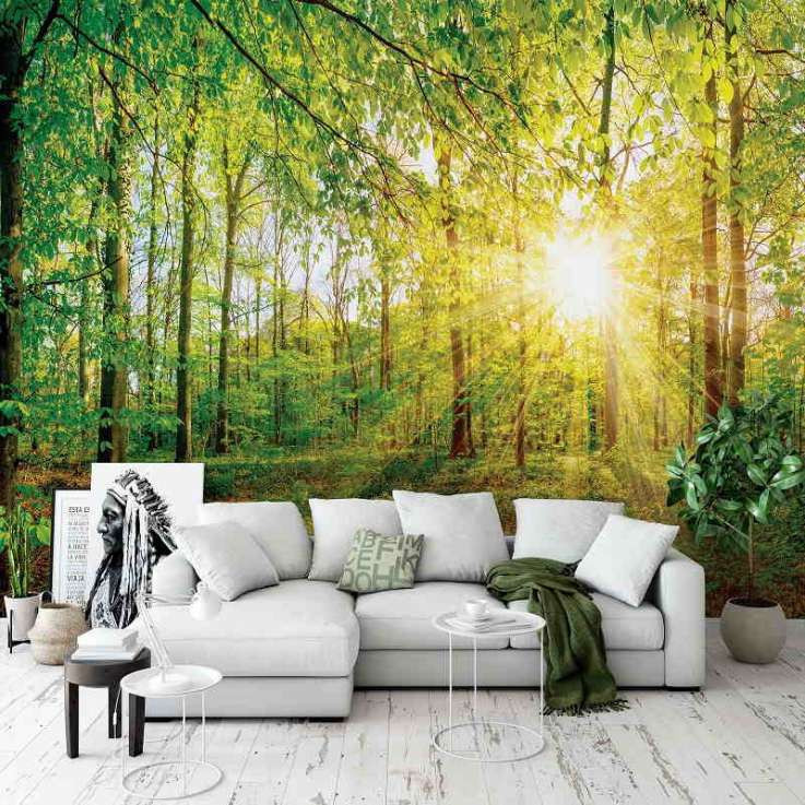 Find the perfect wall murals for living room