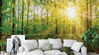 Find the perfect wall murals for living room