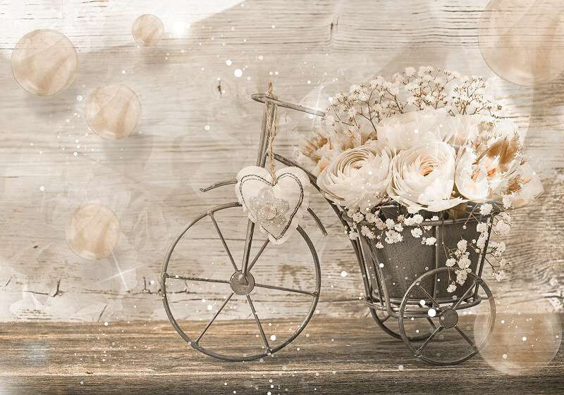 Oil paint Wall Mural, retro bicycle with flowers -3667